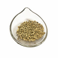 Best Quality White Pepper Grain With Low Price